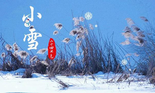 今日小雪丨天地初寒，愿歲月安暖